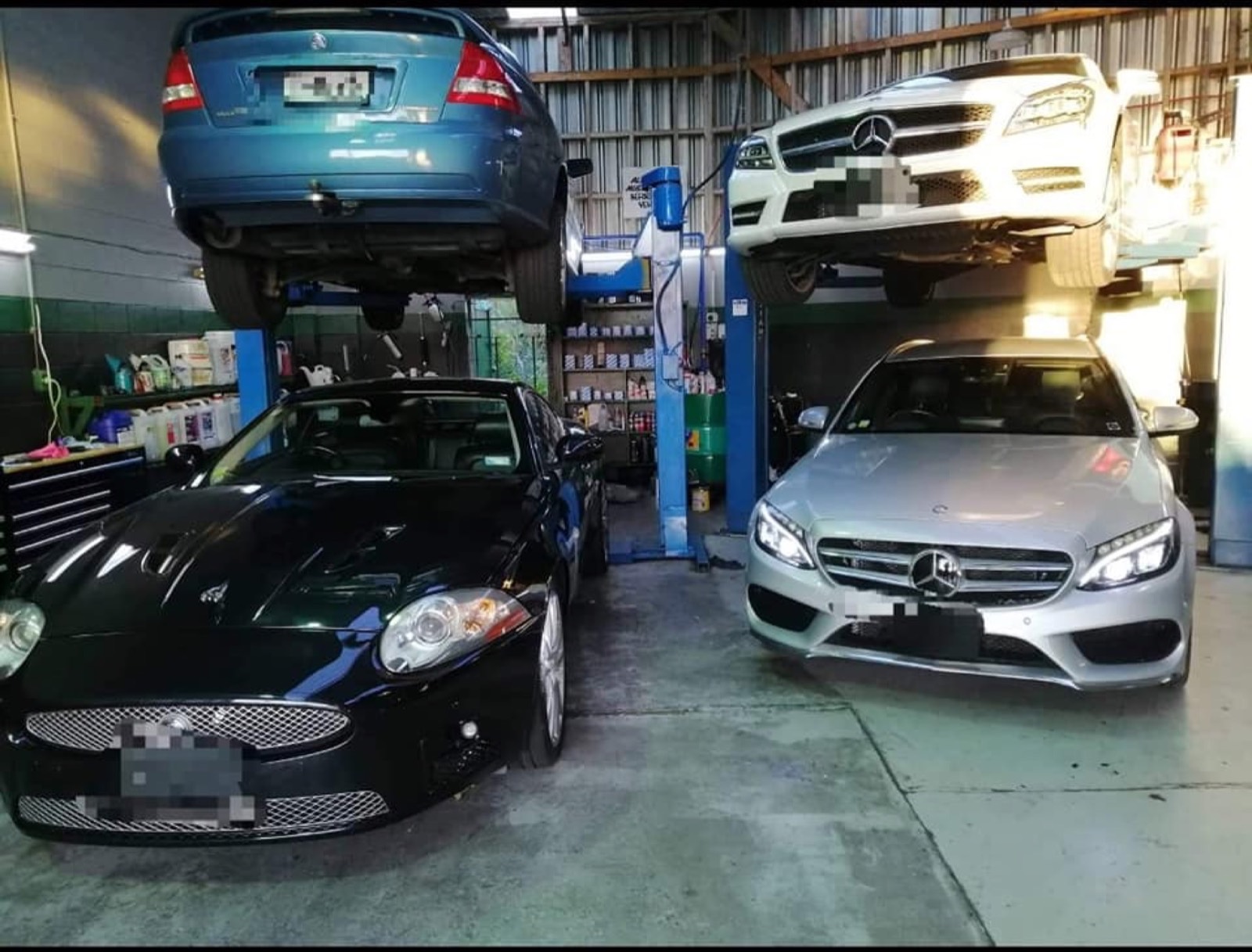 Four cars on hoists at Precision Automotive in New Lynn — scheduled servicing in progress